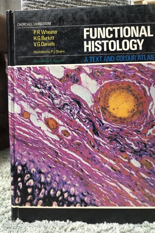 [중고] Functional Historogy : Text and Colour Atlas (1E)