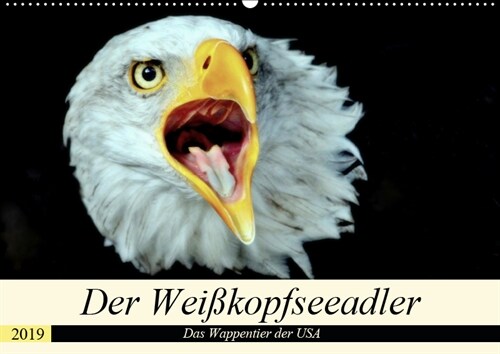 Der Weißkopfseeadler - Das Wappentier der USA (Wandkalender 2019 DIN A2 quer) (Calendar)