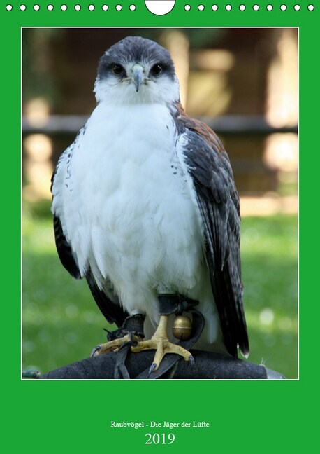 Raubvogel - Die Jager der Lufte (Wandkalender 2019 DIN A4 hoch) (Calendar)