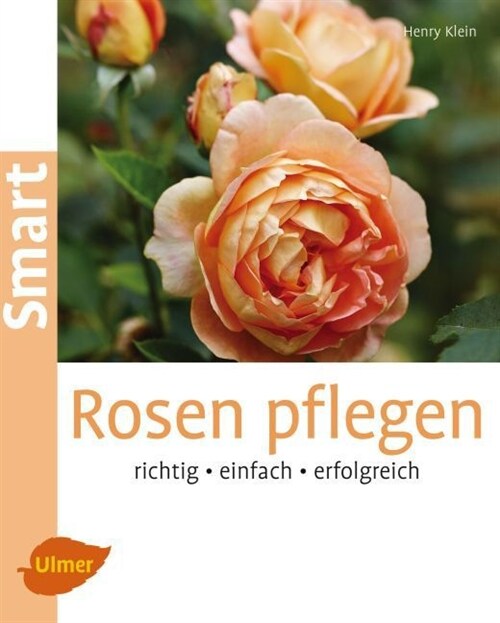 Rosen pflegen (Paperback)