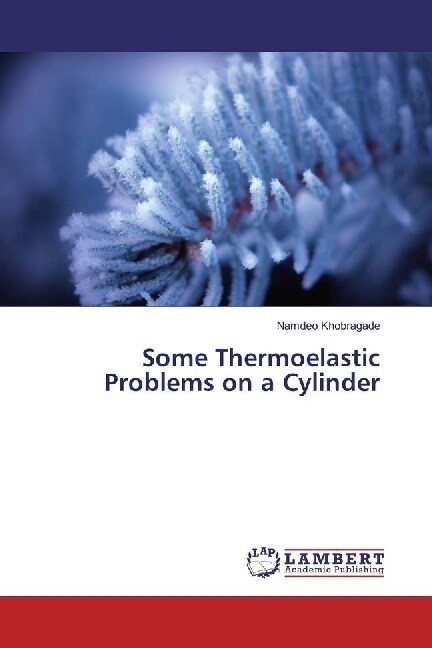 Some Thermoelastic Problems on a Cylinder (Paperback)