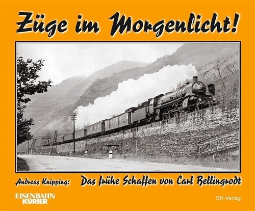 Zuge im Morgenlicht (Hardcover)