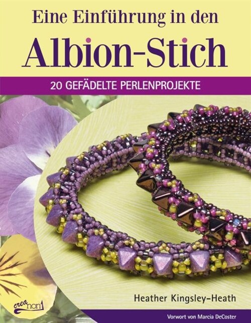 Eine Einfuhrung in den Albion-Stich (Paperback)