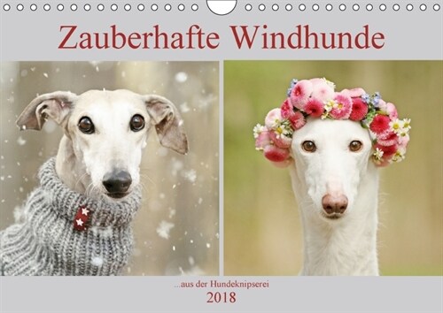 Zauberhafte Windhunde (Wandkalender 2018 DIN A4 quer) (Calendar)