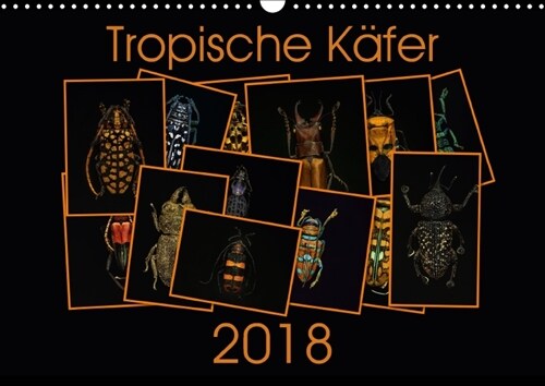 Tropische Kafer (Wandkalender 2018 DIN A3 quer) (Calendar)