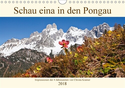 Schau eina in den Pongau (Wandkalender 2018 DIN A4 quer) Dieser erfolgreiche Kalender wurde dieses Jahr mit gleichen Bildern und aktualisiertem Kalend (Calendar)