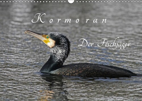 Kormoran. Der Fischjager (Wandkalender 2019 DIN A3 quer) (Calendar)