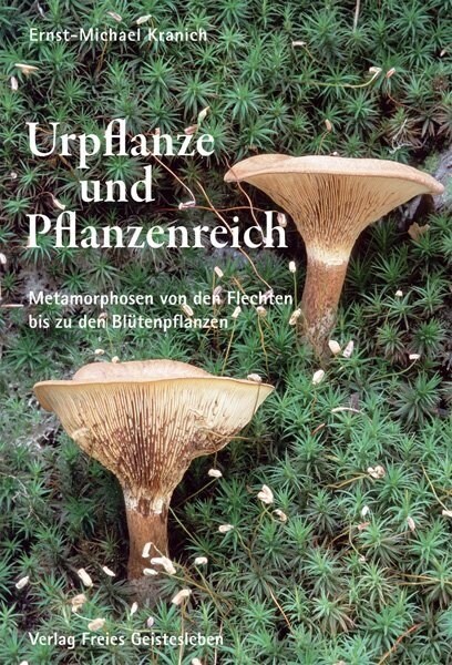 Urpflanze und Pflanzenreich (Hardcover)