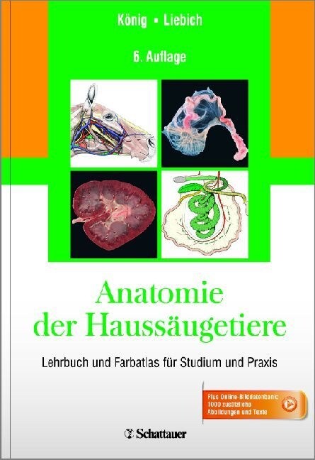 Anatomie der Haussaugetiere (Hardcover)