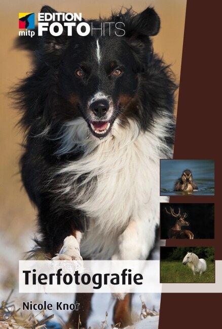 Tierfotografie (Paperback)