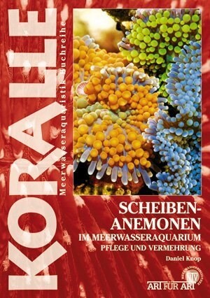 Scheibenanemonen im Meerwasseraquarium (Paperback)