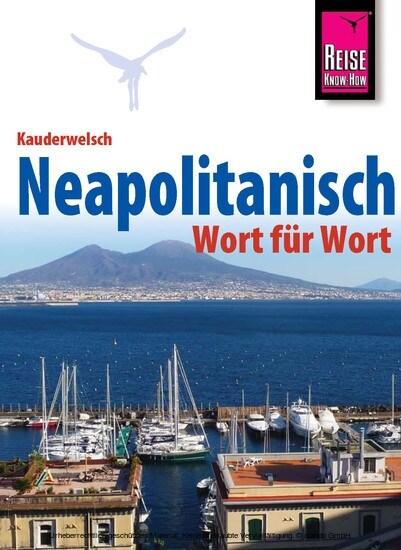 Neapolitanisch - Wort fur Wort (Paperback)