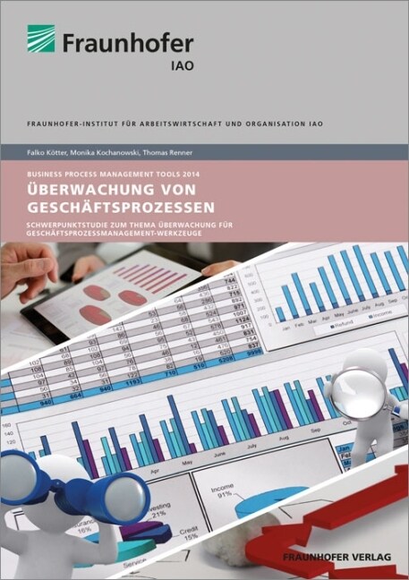 Uberwachung von Geschaftsprozessen (Paperback)