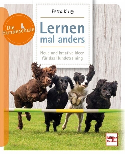 Lernen - mal anders (Paperback)