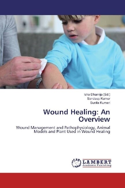 Wound Healing: An Overview (Paperback)