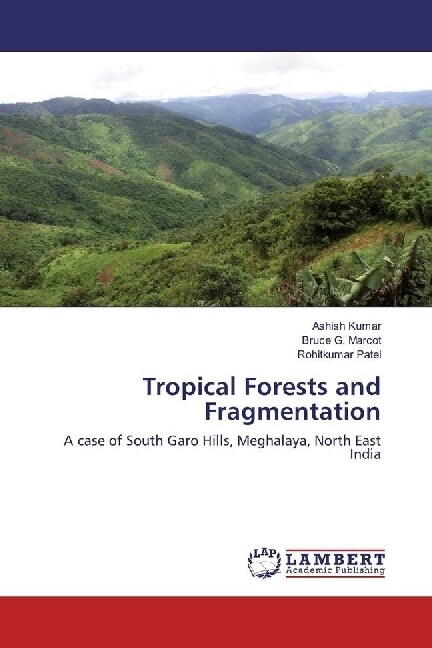 Tropical Forests and Fragmentation (Paperback)