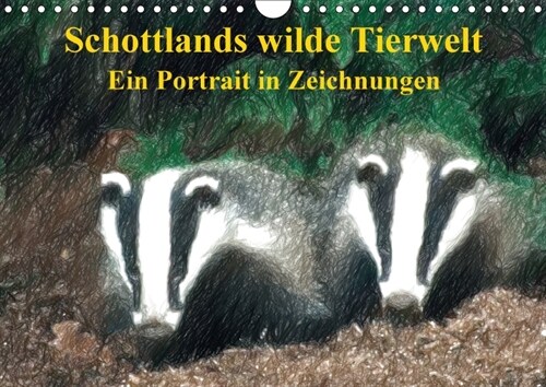 Schottlands wilde Tierwelt - Ein Portrat in Zeichnungen (Wandkalender 2018 DIN A4 quer) (Calendar)