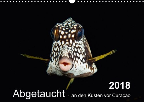 Abgetaucht - an den Kusten vor Curacao (Wandkalender 2018 DIN A3 quer) (Calendar)