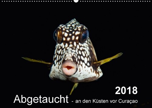 Abgetaucht - an den Kusten vor Curacao (Wandkalender 2018 DIN A2 quer) (Calendar)