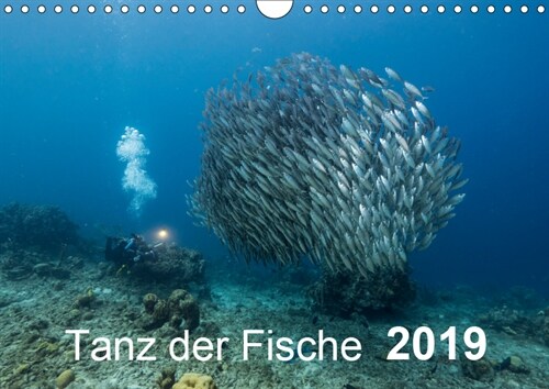 Tanz der Fische (Wandkalender 2019 DIN A4 quer) (Calendar)