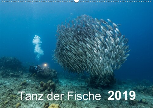 Tanz der Fische (Wandkalender 2019 DIN A2 quer) (Calendar)