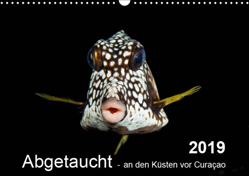 Abgetaucht - an den Kusten vor Curacao (Wandkalender 2019 DIN A3 quer) (Calendar)