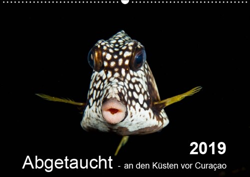 Abgetaucht - an den Kusten vor Curacao (Wandkalender 2019 DIN A2 quer) (Calendar)