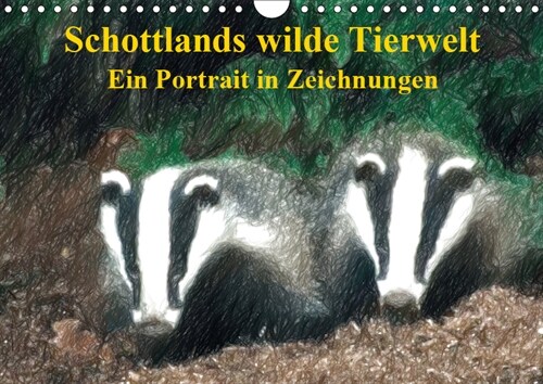 Schottlands wilde Tierwelt - Ein Portrat in Zeichnungen (Wandkalender 2019 DIN A4 quer) (Calendar)