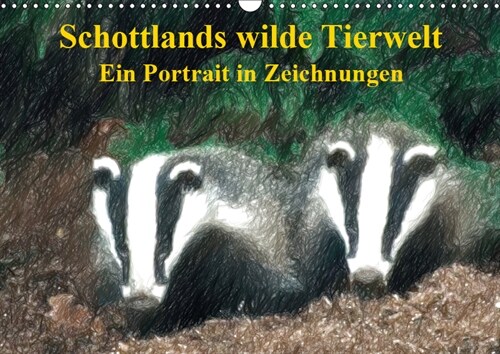 Schottlands wilde Tierwelt - Ein Portrat in Zeichnungen (Wandkalender 2019 DIN A3 quer) (Calendar)