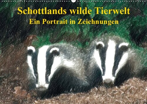 Schottlands wilde Tierwelt - Ein Portrat in Zeichnungen (Wandkalender 2019 DIN A2 quer) (Calendar)