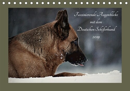 Faszinierende Augenblicke mit dem Deutschen Schaferhund (Tischkalender 2019 DIN A5 quer) (Calendar)