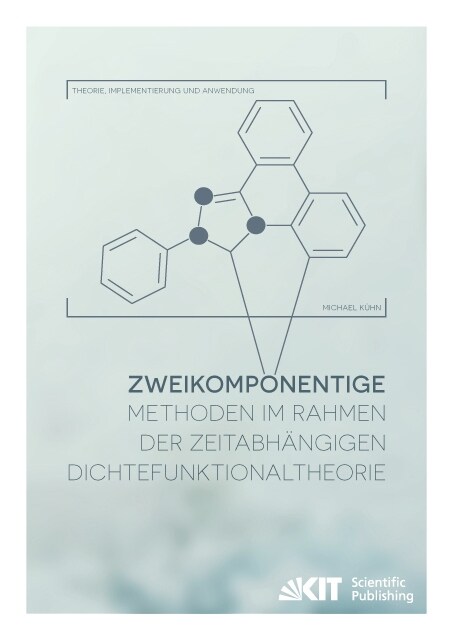 Zweikomponentige Methoden im Rahmen der zeitabhangigen Dichtefunktionaltheorie - Theorie, Implementierung und Anwendung (Paperback)