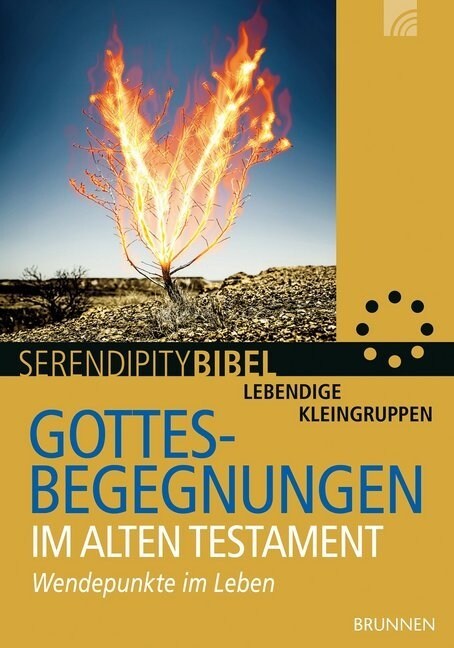 Gottesbegegnungen im Alten Testament (Paperback)