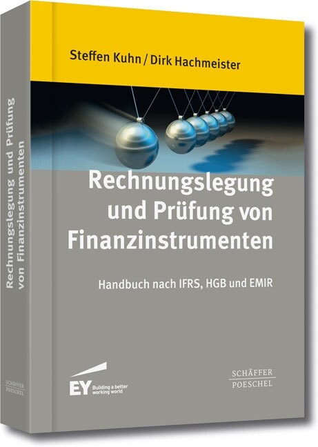 Rechnungslegung und Prufung von Finanzinstrumenten (Hardcover)