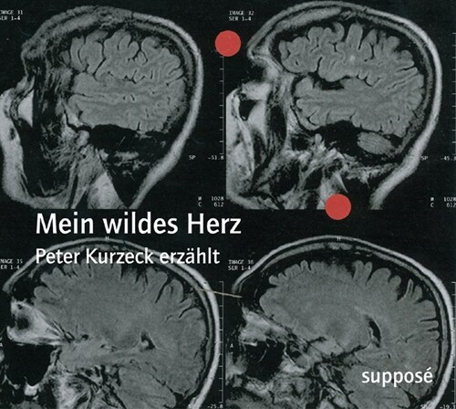 Mein wildes Herz, 2 Audio-CDs (CD-Audio)