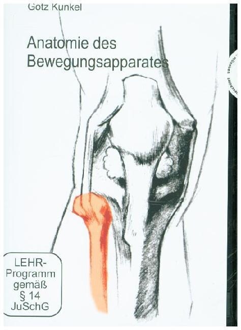 Anatomie des Bewegungsapparates, 1 DVD (DVD Video)