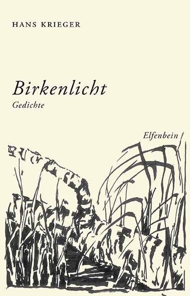 Birkenlicht (Paperback)