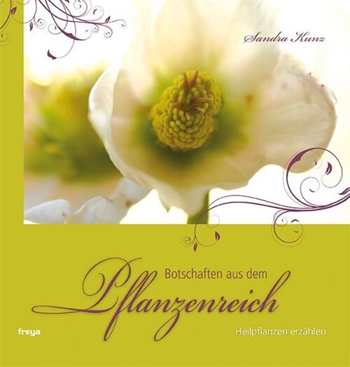 Botschaften aus dem Pflanzenreich (Hardcover)