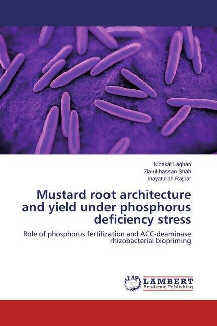 Mustard Root Architecture and Yield Under Phosphorus Deficiency Stress (Paperback)