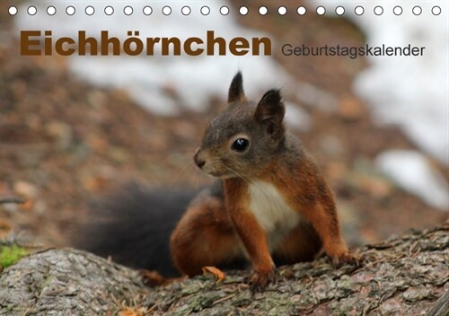 Eichhornchen/Geburtstagskalender (Tischkalender 2018 DIN A5 quer) (Calendar)