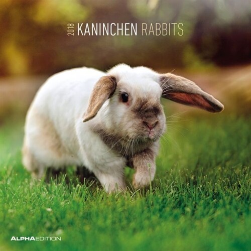 Kaninchen / Rabbits 2018 (Calendar)