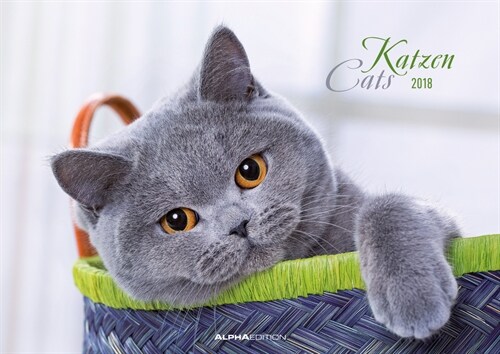 Katzen / Cats 2018 (Calendar)