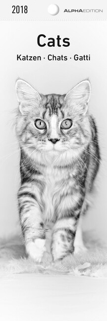 Katzen / Cats / Chats / Gatti 2018 (Calendar)