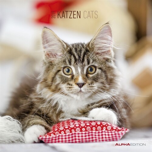 Katzen / Cats 2019 (Calendar)