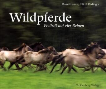 Wildpferde (Hardcover)