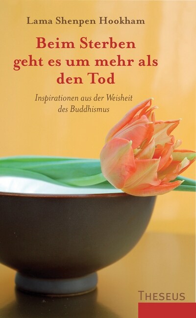 Beim Sterben geht es um mehr als den Tod (Paperback)