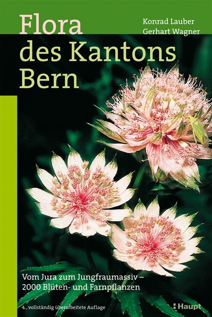 Flora des Kantons Bern (Paperback)