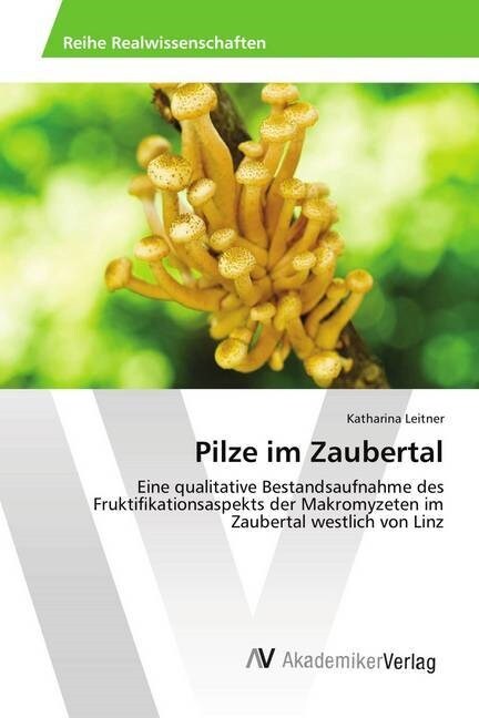 Pilze im Zaubertal (Paperback)