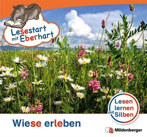 Wiese erleben (Pamphlet)