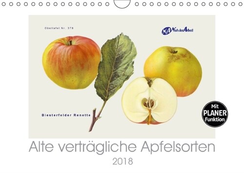 Alte vertragliche Apfelsorten (Wandkalender 2018 DIN A4 quer) (Calendar)